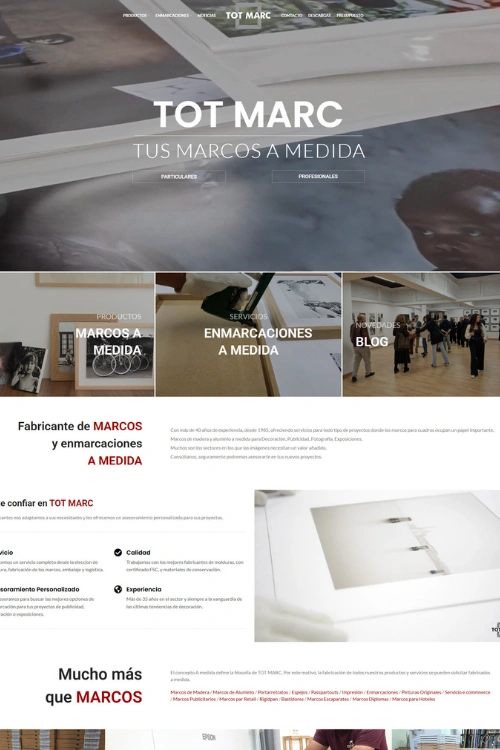 Proyecto 2